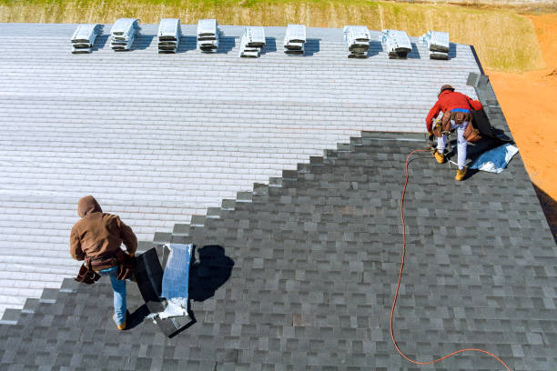 Best New Roof Installation  in Vernon, AL