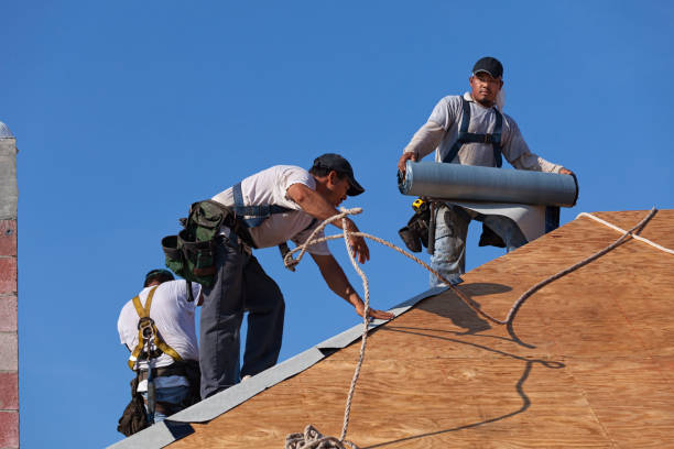 Best Residential Roofing Contractor  in Vernon, AL