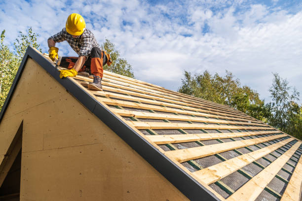 Best Residential Roof Replacement  in Vernon, AL