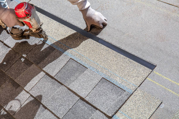Best Affordable Roof Replacement  in Vernon, AL