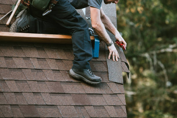 Best Roof Replacement Cost  in Vernon, AL